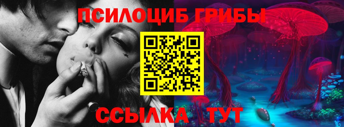 Псилоцибиновые грибы GOLDEN TEACHER  Вход с VPN  Новокубанск 